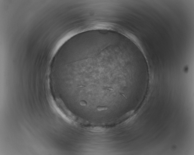 X0000116791235200912181246