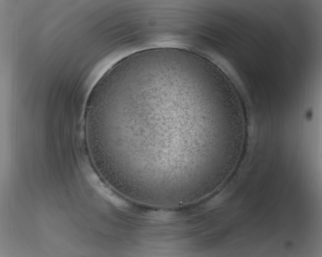 X0000116791236200912181246