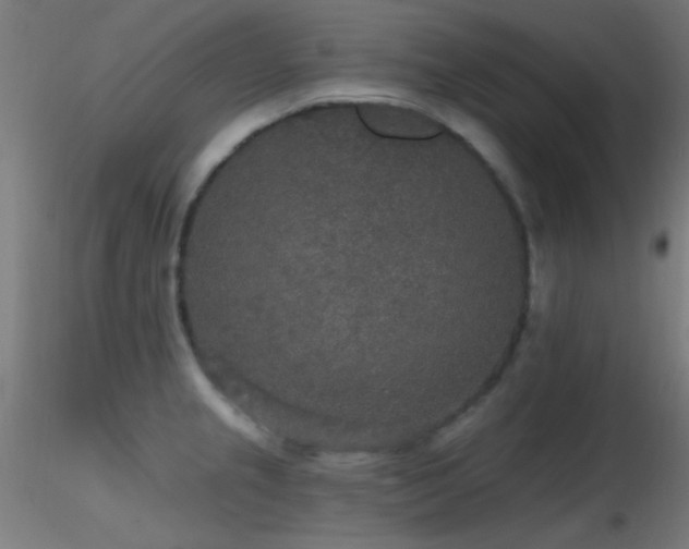 X0000116791237200912181246