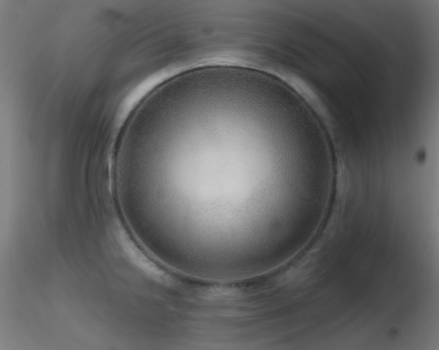 X0000116791238200912181246