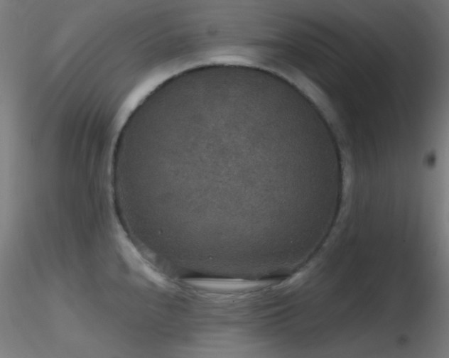 X0000116791240200912181246