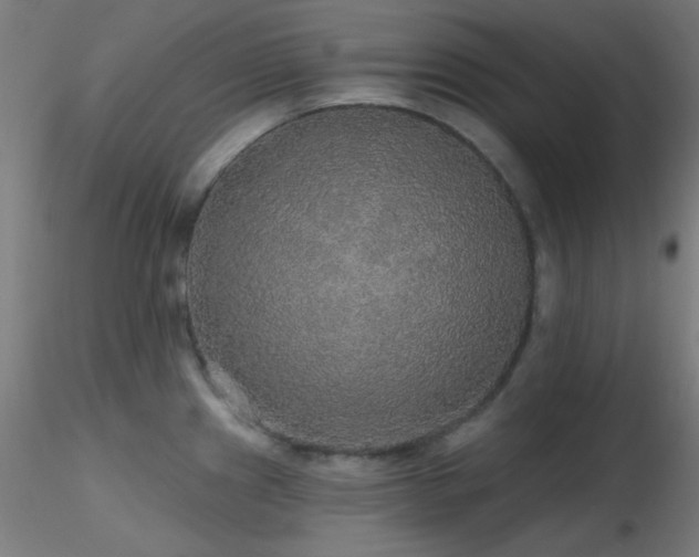 X0000116791241200912181246
