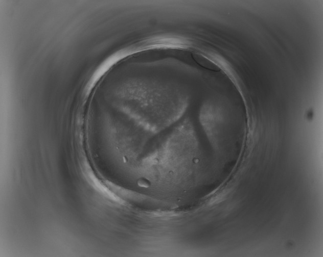 X0000116791243200912181246