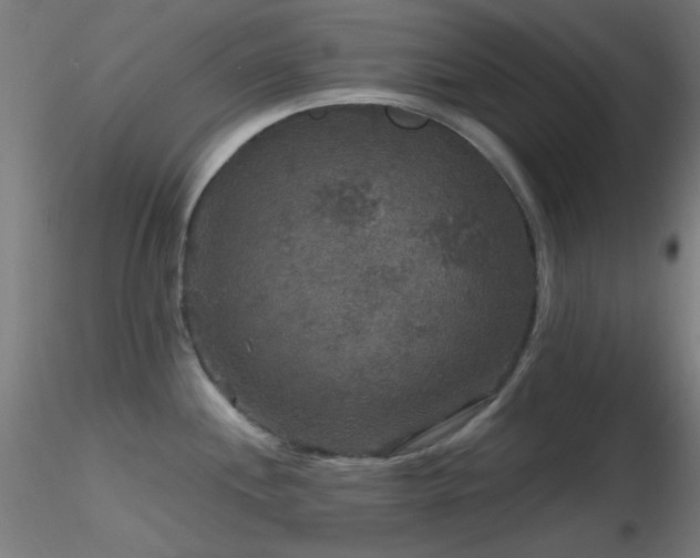 X0000116791244200912181246