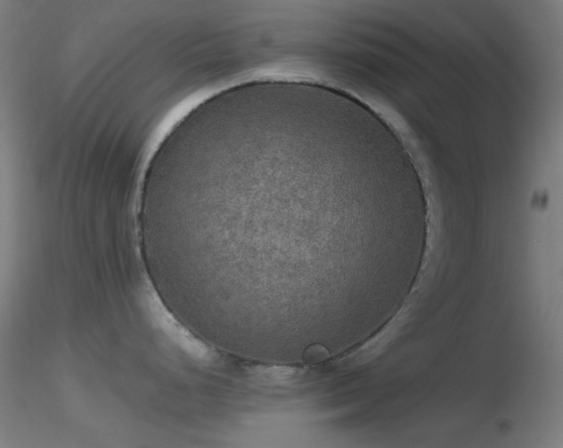 X0000116791248200912181246