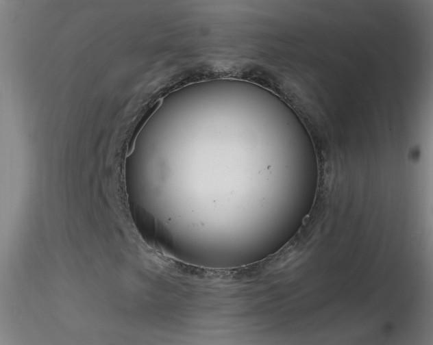 X0000116791249200912181246