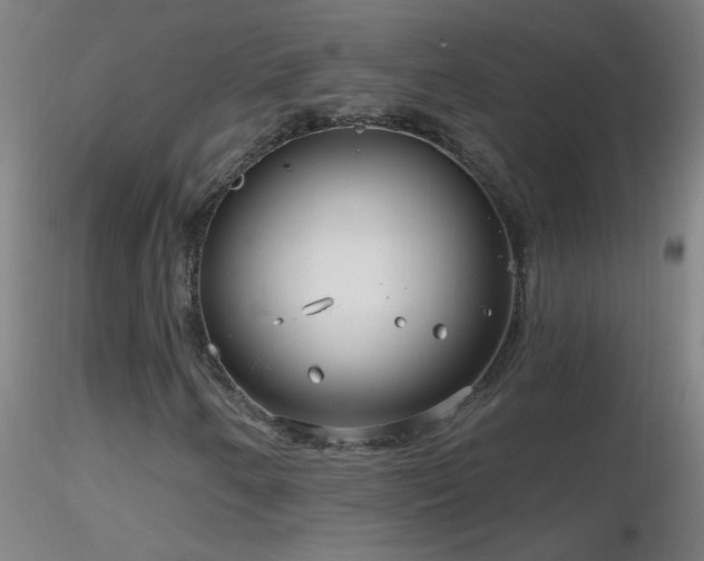 X0000116791250200912181245