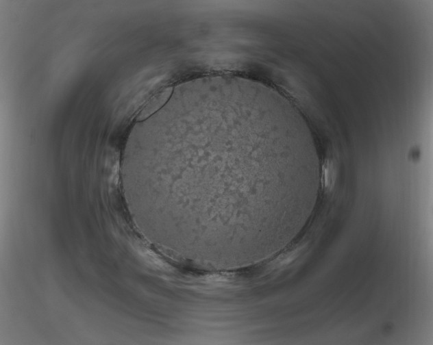 X0000116791251200912181245