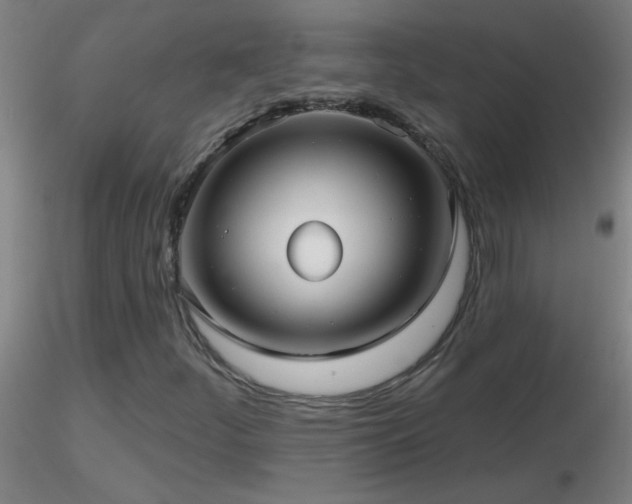 X0000116791252200912181245