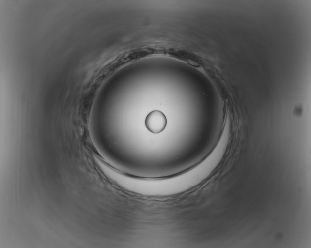 X0000116791253200912181245
