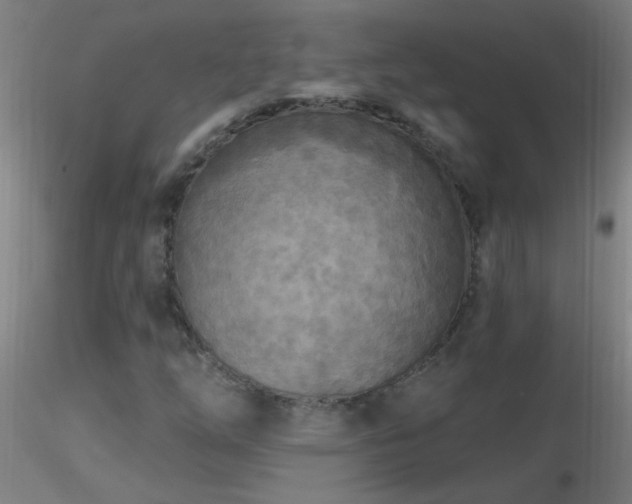 X0000116791254200912181245