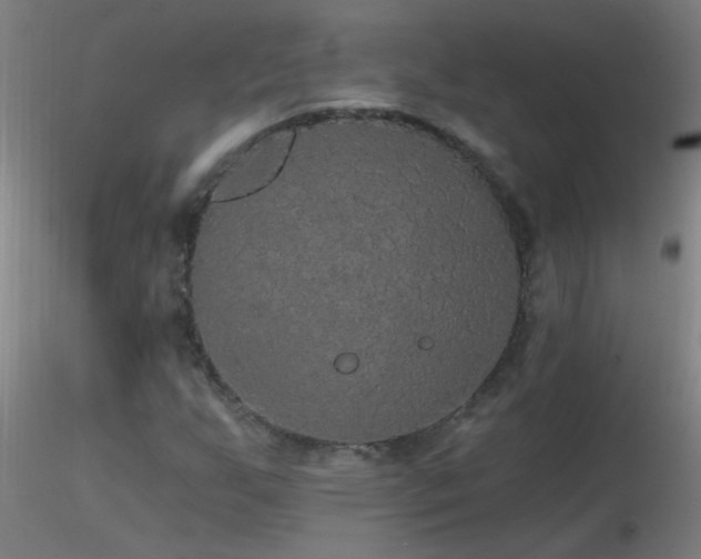 X0000116791255200912181245