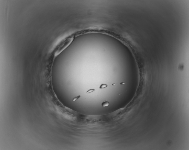 X0000116791256200912181245