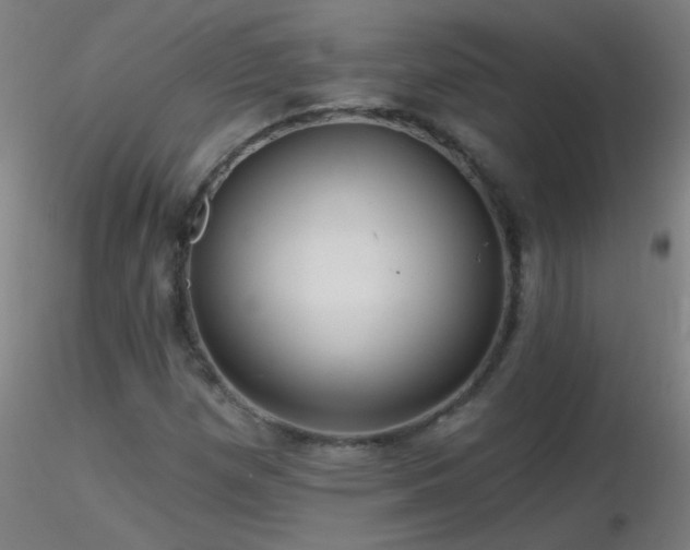 X0000116791257200912181245