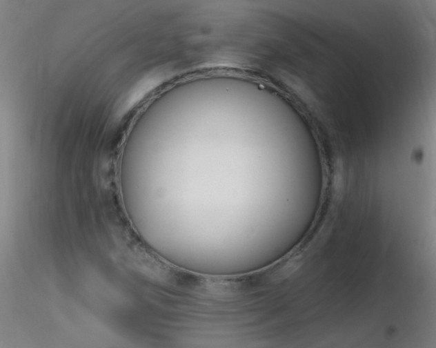 X0000116791258200912181245