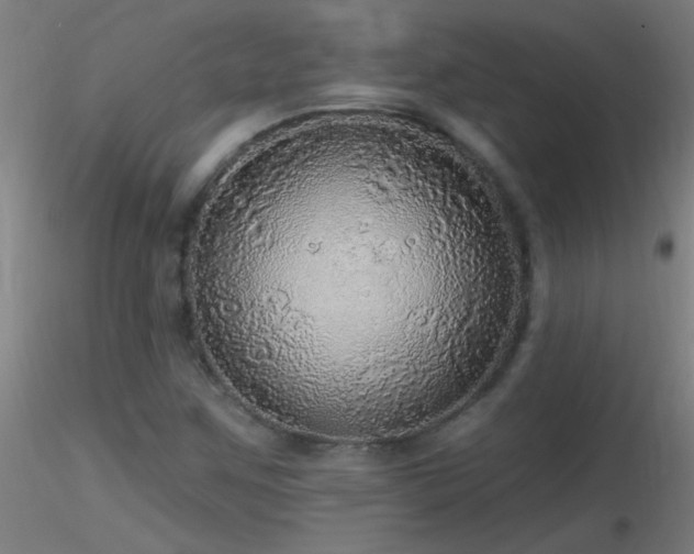 X0000116791259200912181245