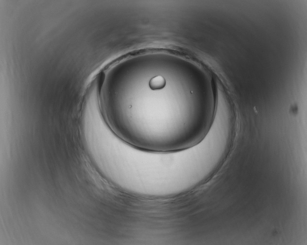X0000116791260200912181245