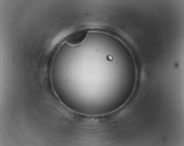 X0000116791261200912181245
