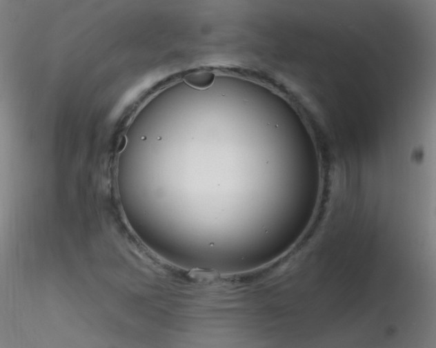 X0000116791262200912181245