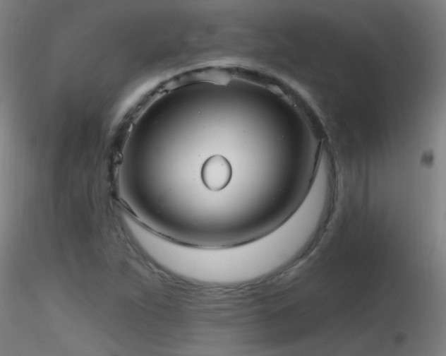 X0000116791263200912181245