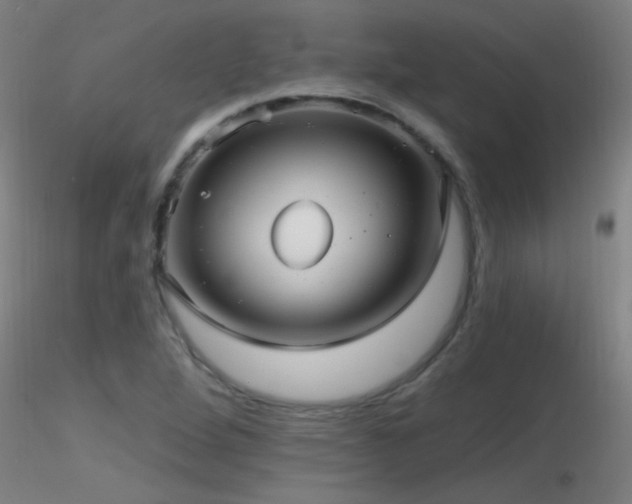 X0000116791264200912181245