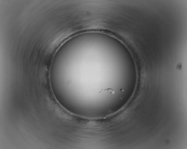 X0000116791265200912181245