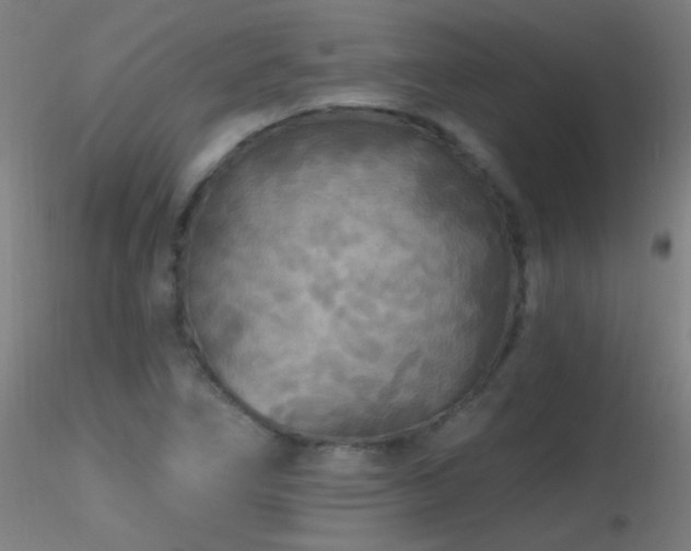 X0000116791266200912181245