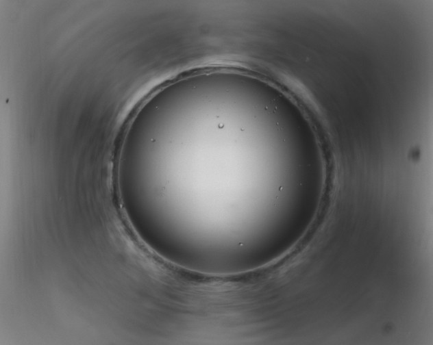 X0000116791268200912181245