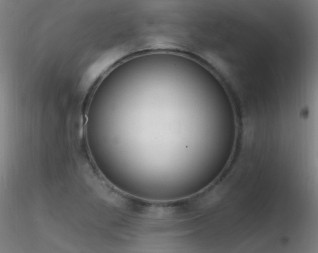 X0000116791269200912181245