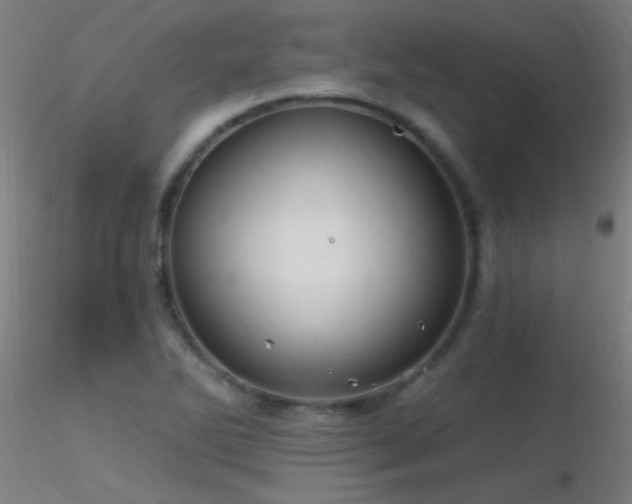 X0000116791270200912181245