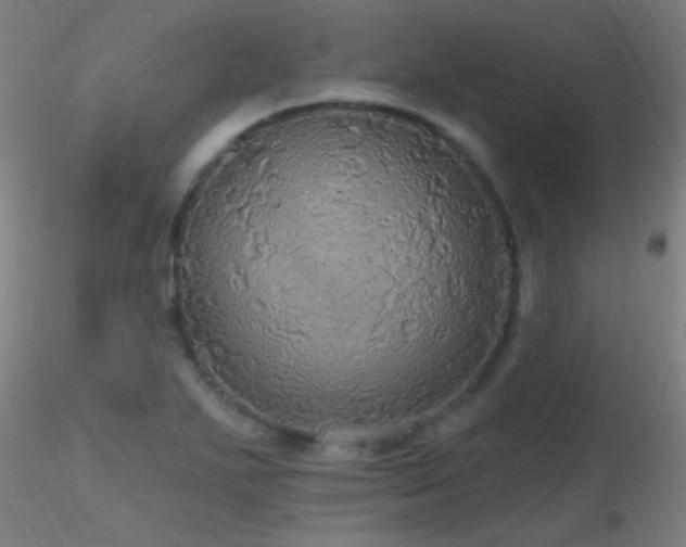 X0000116791271200912181245