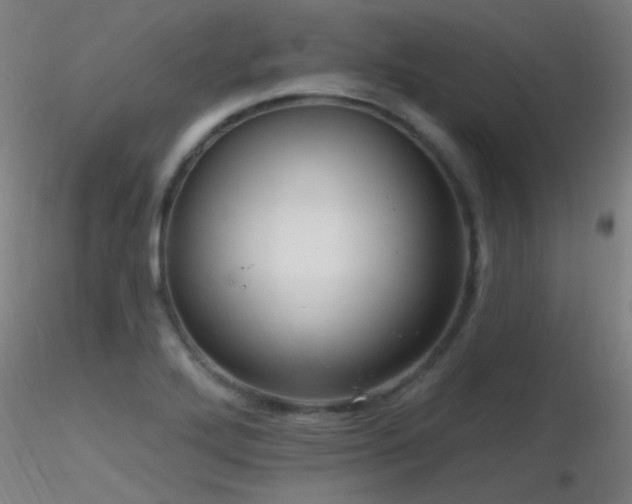 X0000116791272200912181245