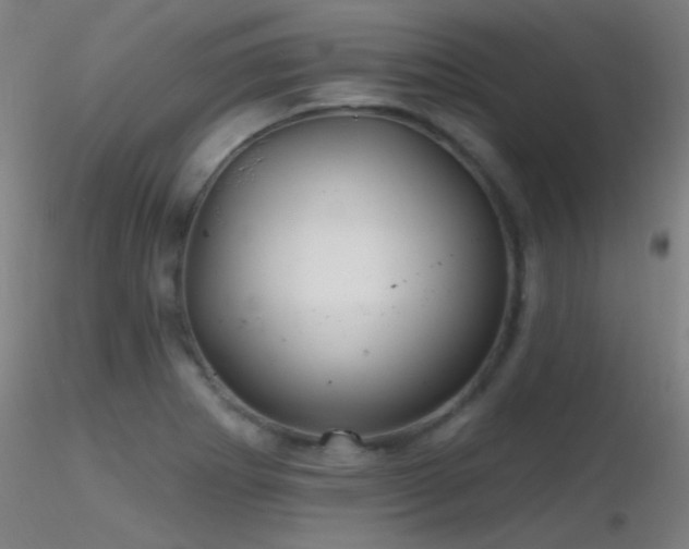 X0000116791273200912181245