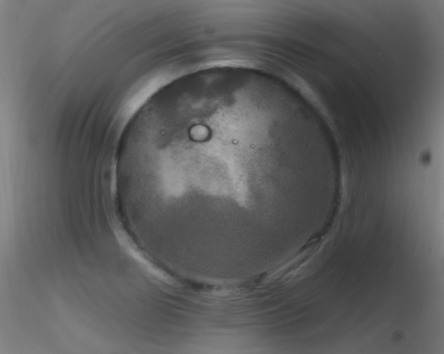 X0000116791274200912181245
