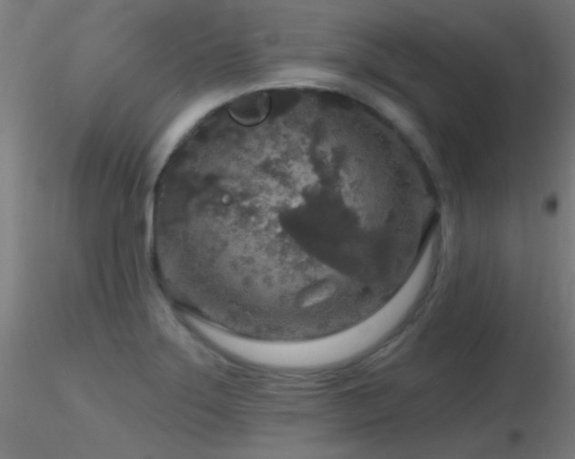 X0000116791275200912181245