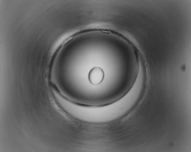 X0000116791277200912181245