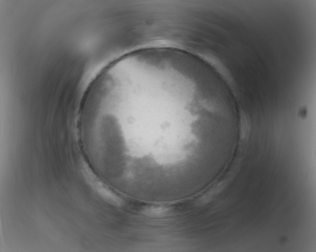 X0000116791278200912181245