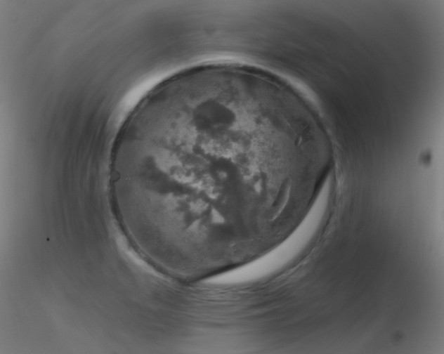 X0000116791279200912181245