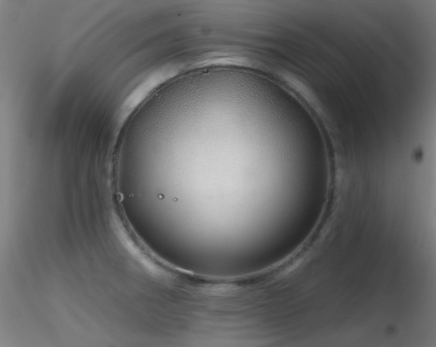 X0000116791282200912181245