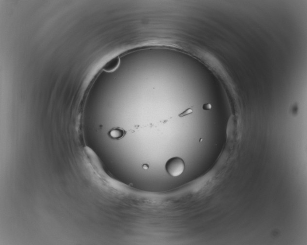 X0000116791284200912181245