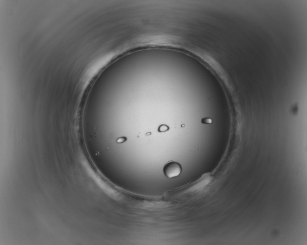 X0000116791285200912181245
