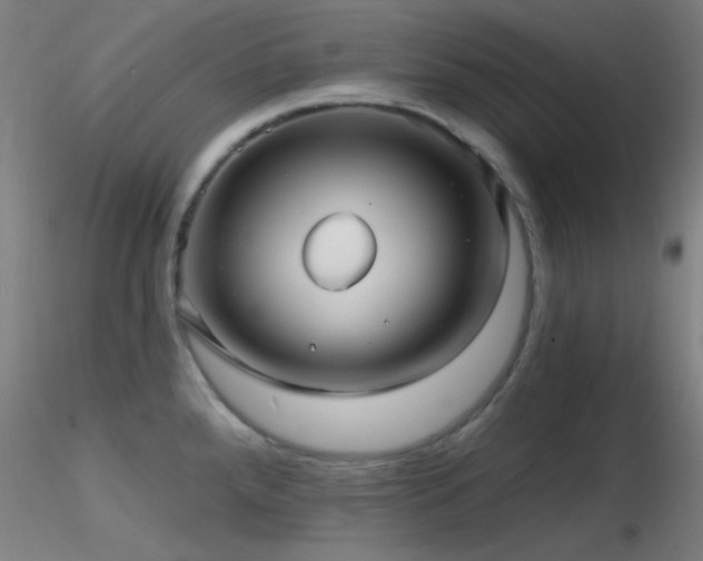 X0000116791288200912181245