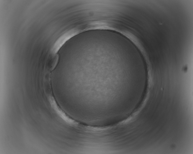 X0000116791289200912181245