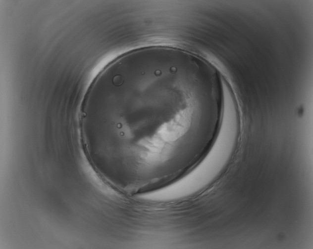 X0000116791291200912181245