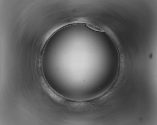 X0000116791292200912181245