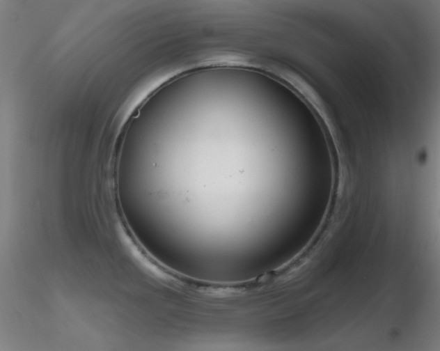 X0000116791293200912181245