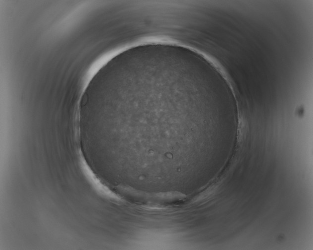 X0000116791295200912181245