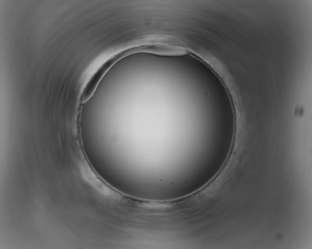 X0000116791296200912181245