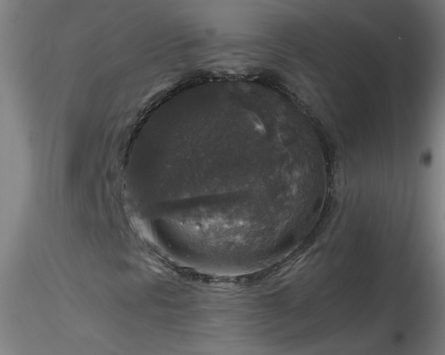 X0000116791297200912181244