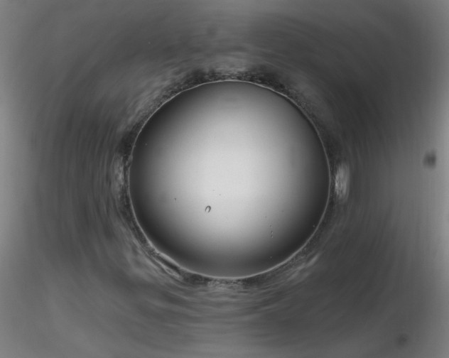 X0000116791299200912181244